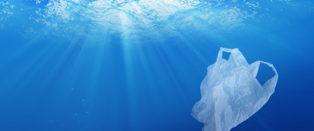A single-use plastic bag floating underwater