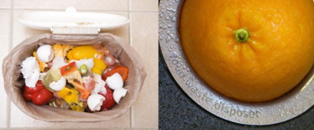 Food waste in compost pail, and an orange positioned over a sink’s food waste disposer.