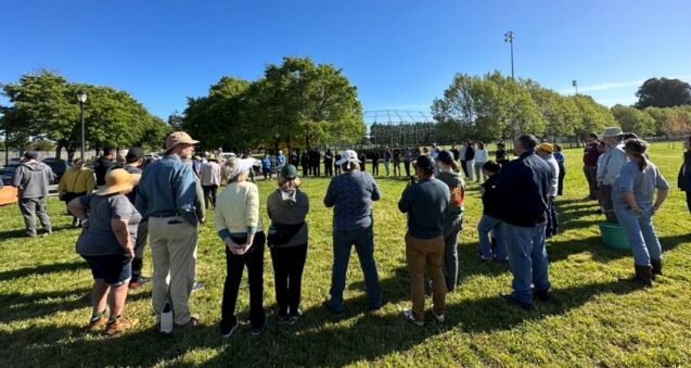 A circle of volunteers on a grassy field