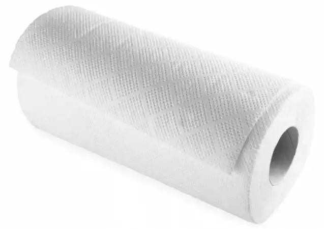 Roll of paper towels