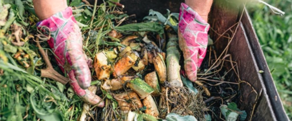image of composting food in a bin with gloved hands.